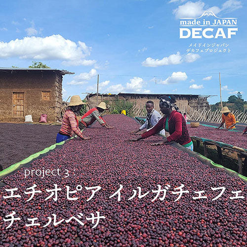 made in JAPAN DECAF Project: 3 エチオピアイルガチェフェチェルベサナチュラル/農薬不使用