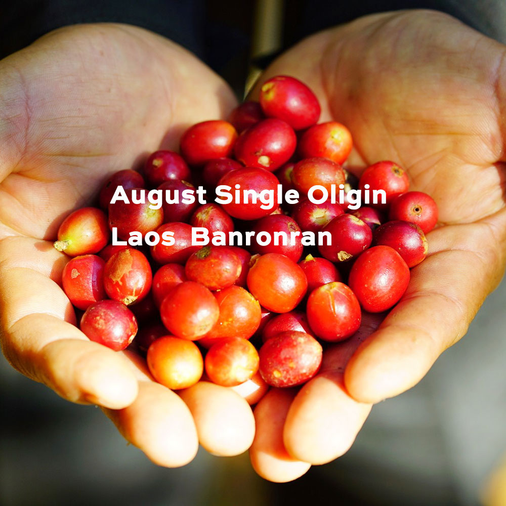 August Single Origin 8月だけ販売するコーヒー豆のご案内