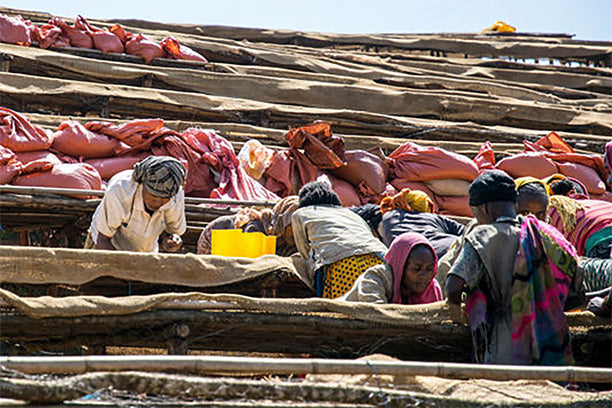 【NEWリリース】2024年4月 NEWシングルオリジン入荷しました