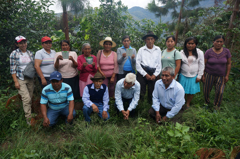 JASオーガニック ペルーコチャパンパ ドリップバッグ