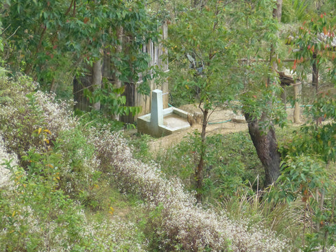 JASオーガニック 東ティモールコカマウ