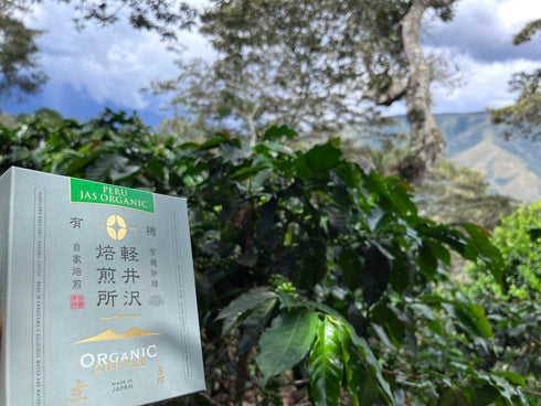 JASオーガニック ペルーコチャパンパ ドリップバッグ