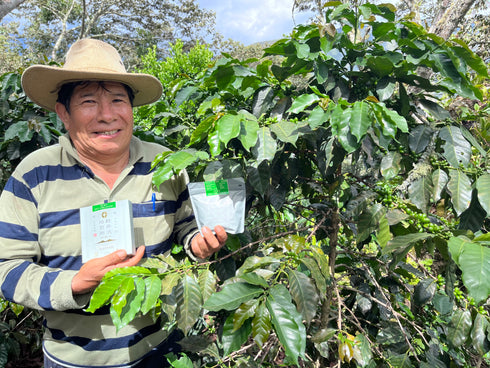 JASオーガニック ペルー コチャパンパ