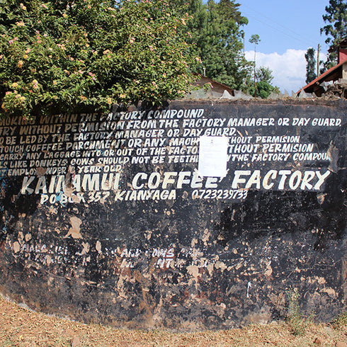 シングルオリジン ケニア シンバ の農園風景