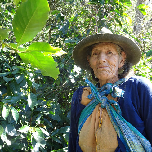 【マイベストコーヒー】オーガニック ペルー コチャパン200g