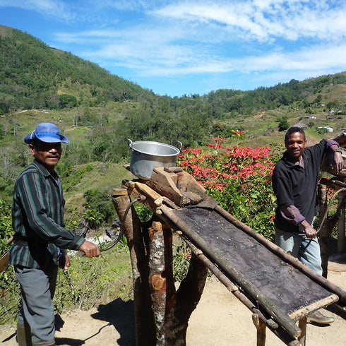 【マイベストコーヒー】オーガニック 東ティモールコカマウ200g