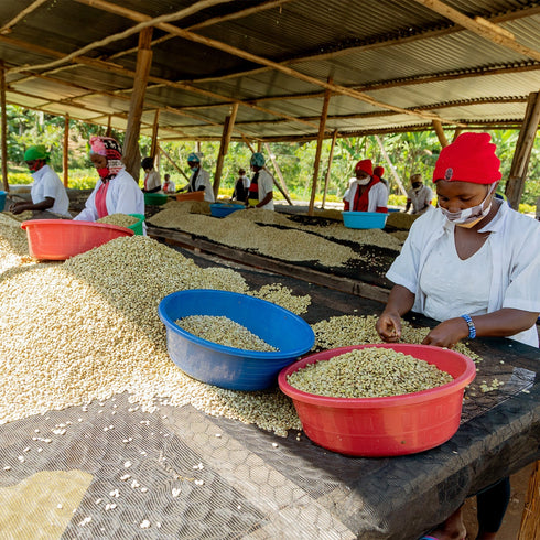 【マイベストコーヒー】オーガニック ルワンダミコフ 200g