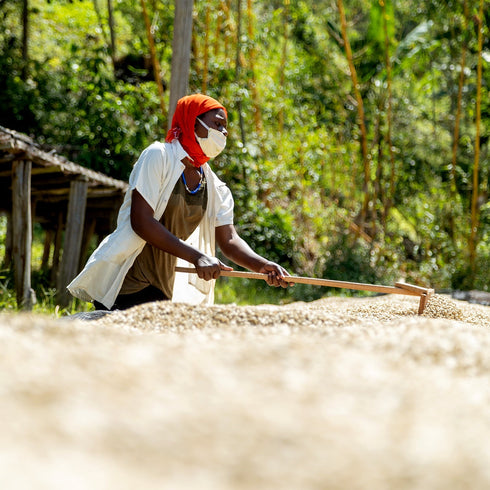 【マイベストコーヒー】オーガニック ルワンダミコフ 200g