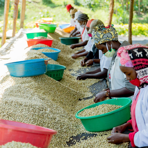 【マイベストコーヒー】オーガニック ルワンダミコフ 200g