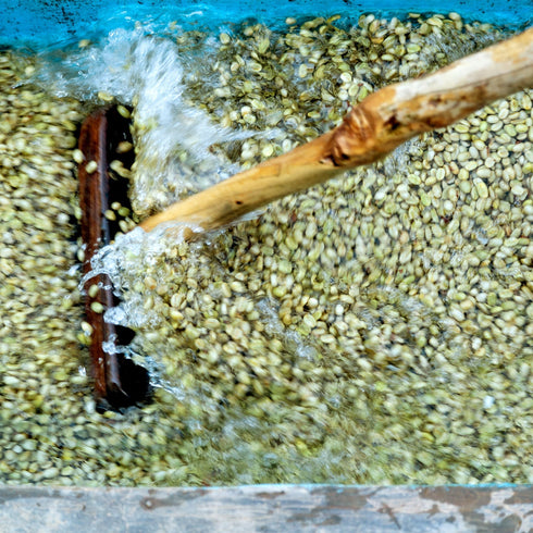 【マイベストコーヒー】オーガニック ルワンダミコフ 200g