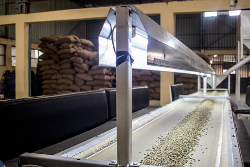 Made in JAPAN DECAF Project13: Ethiopia Yirgacheffe Harsuke Specialty