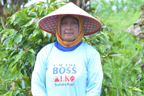 Made in JAPAN DECAF Project 5: Indonesian Klinci Mountain Mandheling Natural Beans without Pesticides