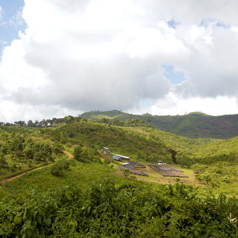 Single Origin Ethiopia Gesha Village Chaka Natural (100g)