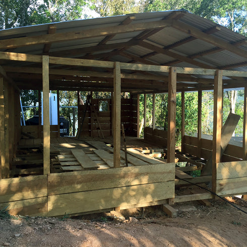 July Single Origin Mexico Sierra Azul Specialty Organic JAS