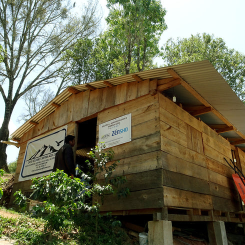 July Single Origin Mexico Sierra Azul Specialty Organic JAS