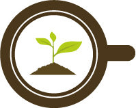 Freshly Born B Beans Guatemala Esmeralda