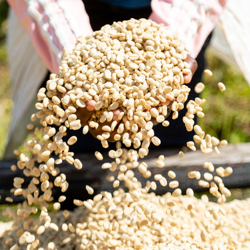 JASオーガニック ルワンダミコフ