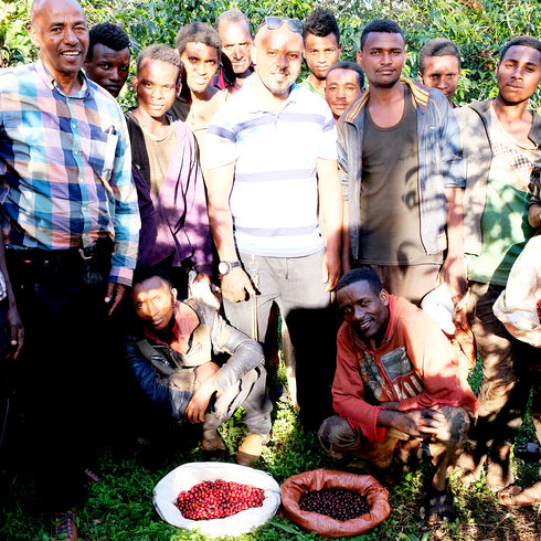 Single Origin Ethiopia Guji Shakiso Village Organic JAS