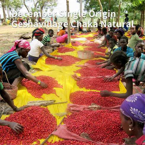 Single Origin Ethiopia Gesha Village Chaka Natural (100g)