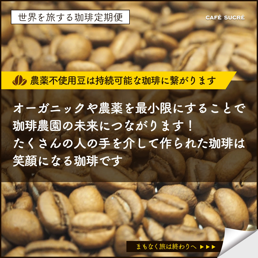 
                  
                    Load image into Gallery viewer, 世界を旅する珈琲　美味しいデカフェ10か国　浅煎り～深煎りまで個性あふれるデカフェ豆を送料無料で毎月２５日発送。１回限り
                  
                