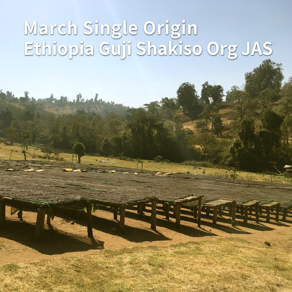 Single Origin エチオピア グジ シャキッソ村 有機JAS